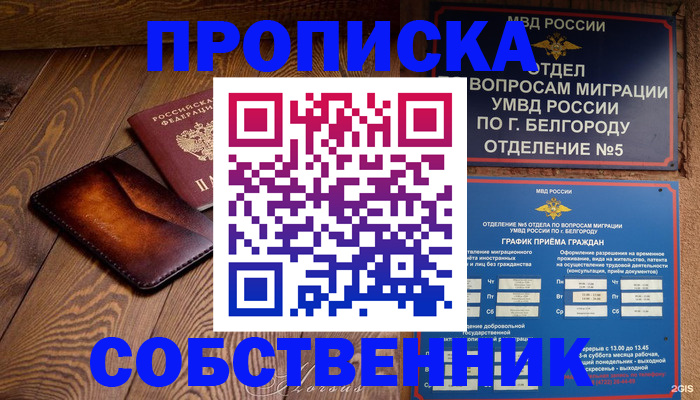 временная регистрация 2025 в Елизово